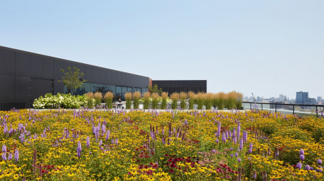 ESG-Architecture-Design-1375-W-Fulton-11